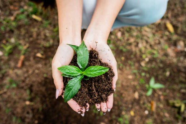 Premium Garden Soil For Plants ₹119.00 – ₹749.00